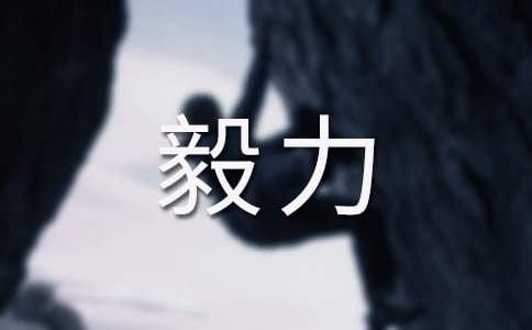 什么是毅力作文