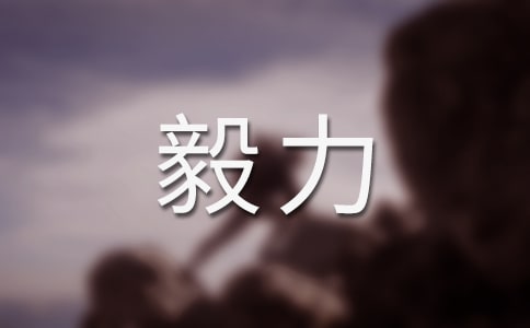 毅力優(yōu)秀作文
