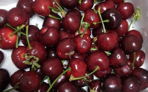 家鄉(xiāng)的櫻桃作文