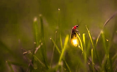 Ξ���x����15ƪ