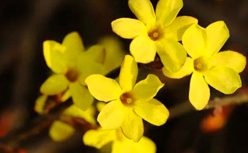 [���A]ӭ������(y��u)������15ƪ