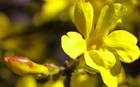 ӭ�������ă�(y��u)��