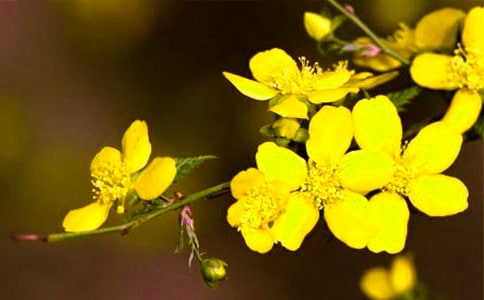 ӭ��������(ͨ��15ƪ)