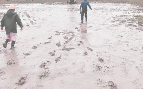 油田工作總結(jié)