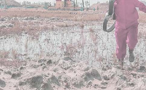 ����2005��Ⱦ����������O(sh��)�������Y(ji��)