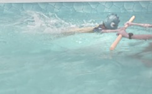 描寫游泳的作文