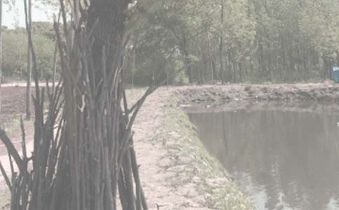 �~�����U��ͬ��ȫ��15ƪ��