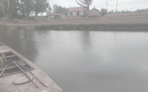 �~���а���ͬ������ͨ��19ƪ��