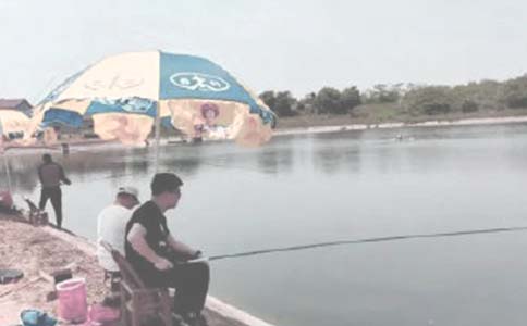 農(nóng)村魚(yú)塘承包合同(14篇)