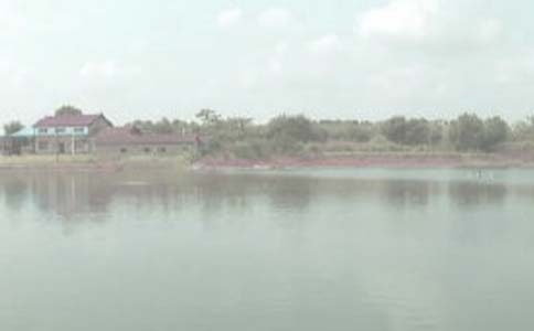 魚塘養(yǎng)殖承包合同