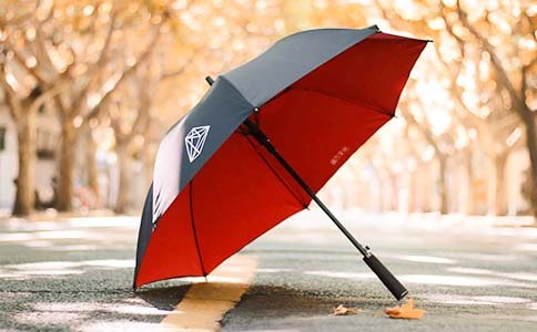 一把雨傘優(yōu)秀作文