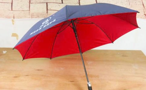 未來的雨傘作文