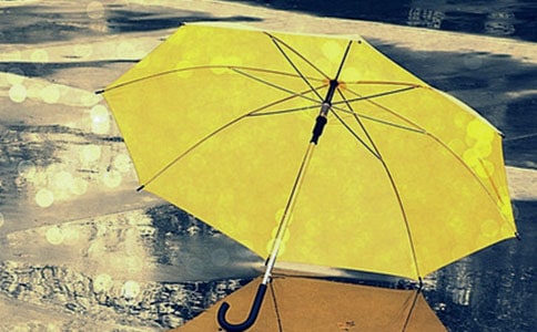 �Đ۵��������