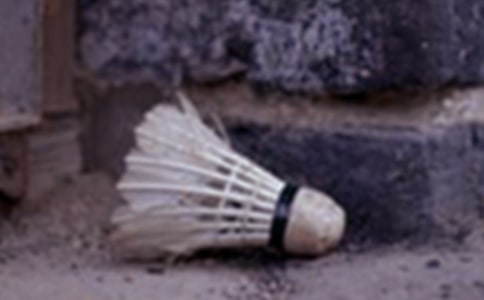 ���]������ë������