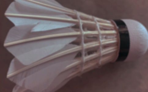 ��ë��̌W(xu��)Ӌ��ͨ��15ƪ