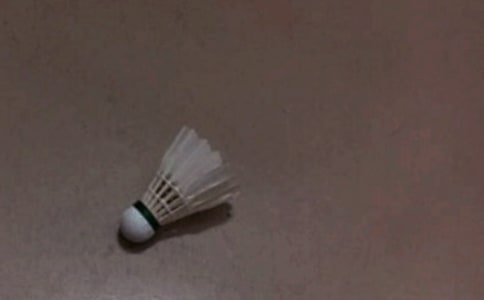 打羽毛球作文(經(jīng)典)