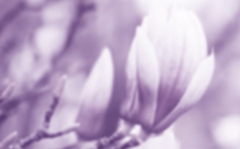 ���m��������