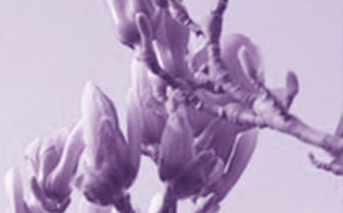 �P(gu��n)�����������m��С�W(xu��)�����ģ�ͨ��3ƪ��