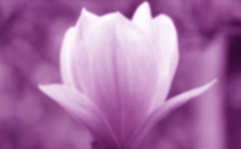 ���m������15ƪ[��]