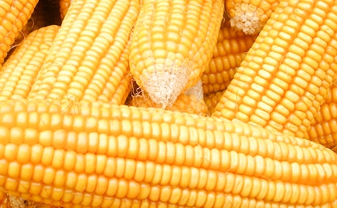 �������׵ľ���ժ�34��