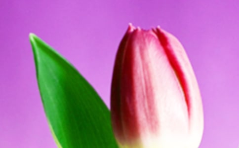 [ͨ��]����������