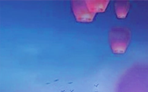 小學(xué)元宵優(yōu)秀作文