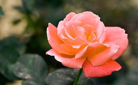 2023�������¼����ľ���ժ�40��