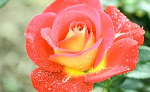 ���x�����¼����ľ���26�l