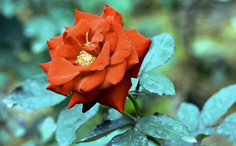 �Ґ��¼�������