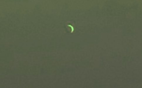 月亮唯美詩歌句子說說30句精選