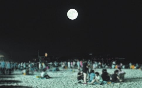 (優(yōu))月圓之夜作文15篇