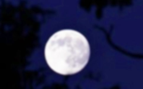 �A֮ҹ����5ƪ