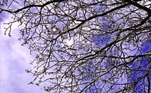 【必備】2023年早安共勉句子摘錄44條