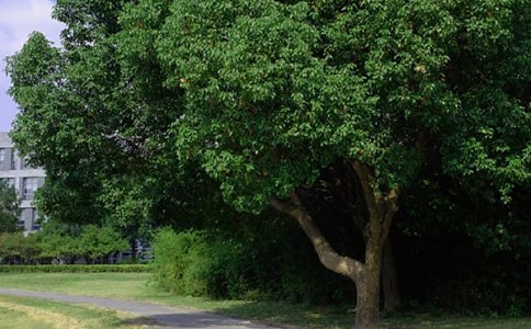 2025�꺆�̵��簲�������29�l