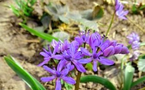 【精華】早安共勉句子微信集錦36條