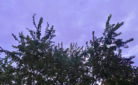 �����簲��������\��24��