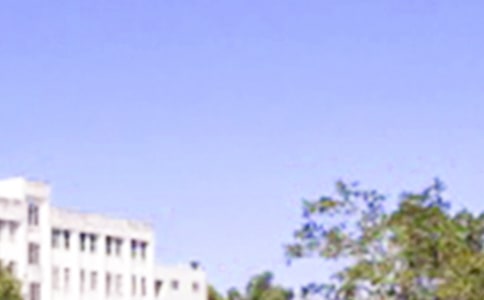 ��(j��ng)���m�����ϰl(f��)���簲�����Z(y��)�Z(y��)䛴�ϼ�65�l