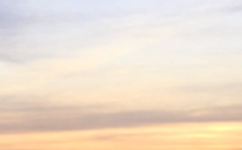 ���x�m�����ϰl(f��)���簲���Z�Z�42��