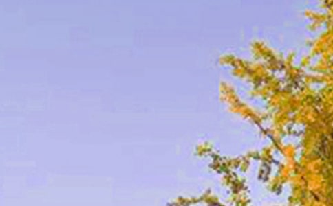 ��(j��ng)���簲���Z�Z�57��