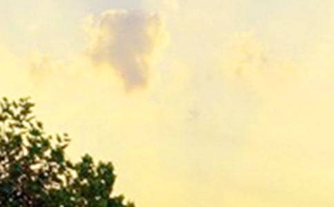 ����ů���簲�Z䛅R����ͨ��195�䣩