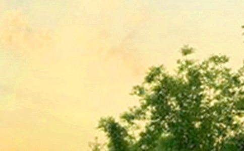 �����T��ÿ��һ���簲���Z�Z�24�l