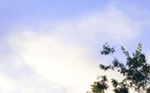 ��(j��ng)��ÿ��һ���簲�����Z�Z�49�l