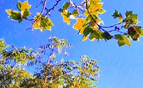 ��(j��ng)���簲�������΢�ż���65��