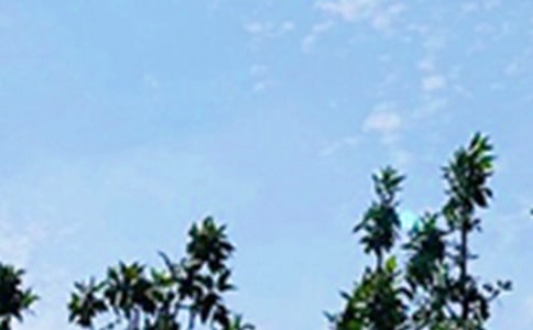 2020�꽛(j��ng)��ÿ��һ���簲�����Z�Z�ժ�46�l