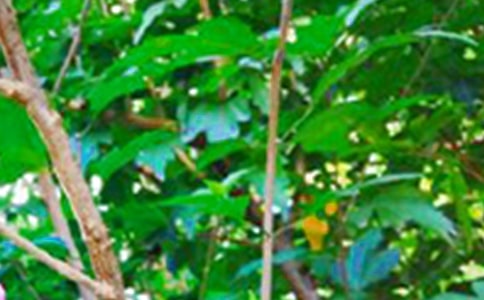 2020年經(jīng)典早安心語語錄集錦62句