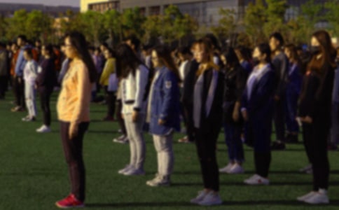 ��������ģ�ͨ��17ƪ��