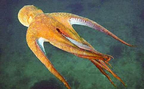 ���~(y��)������