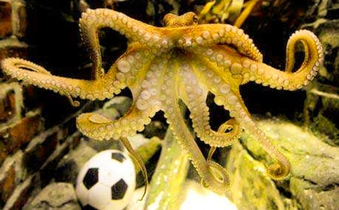 �а����g(sh��)�̰������~(y��)��