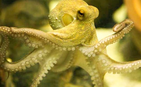 ���~�����@��