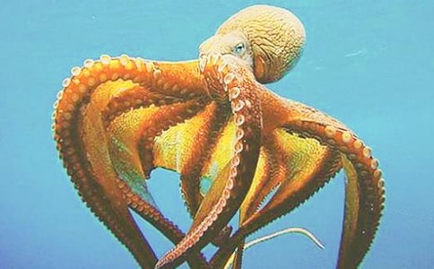 ���g(sh��)���ͽ̰��Ԛ�����~(y��)